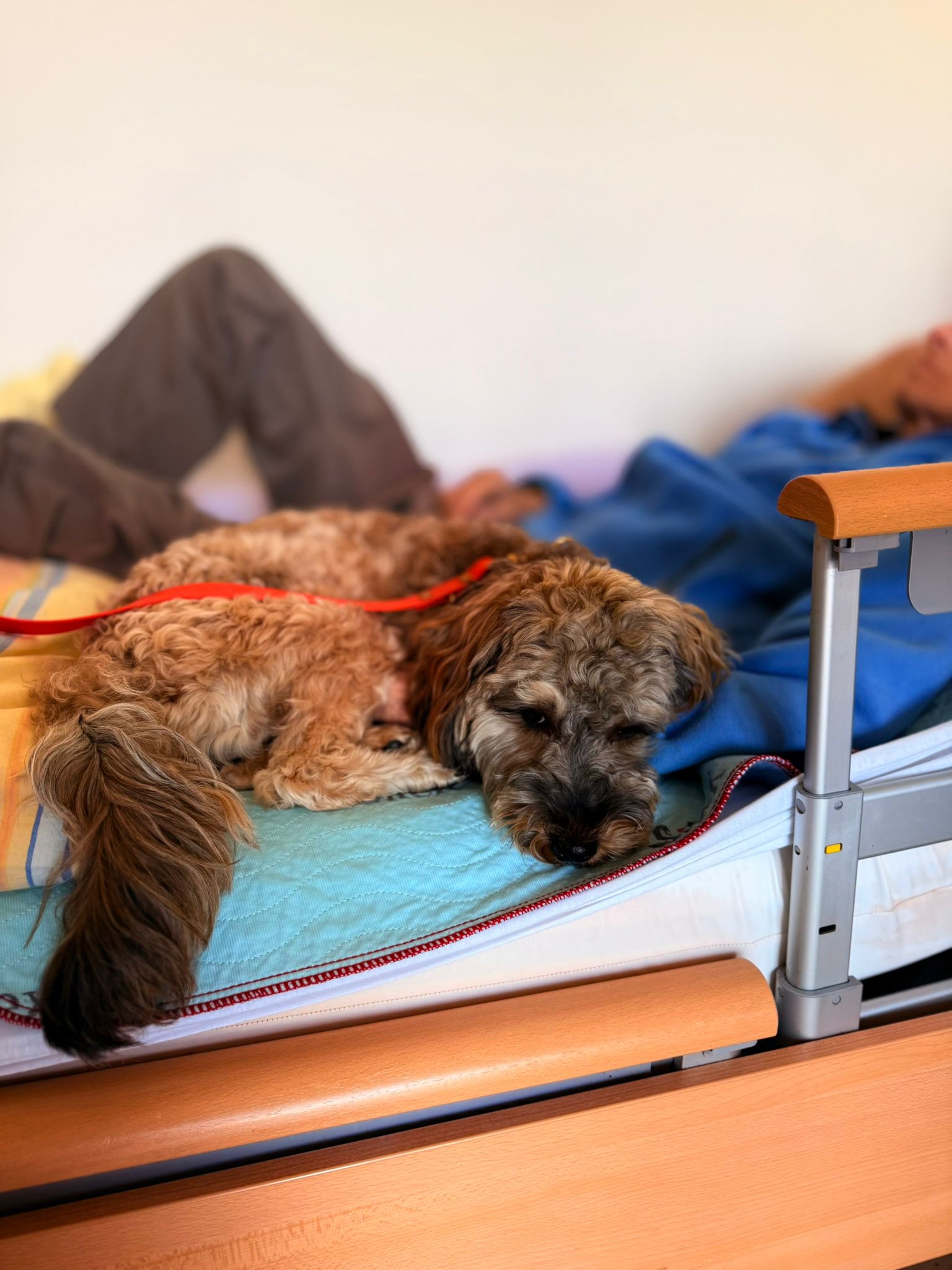 Zola – Bild 1