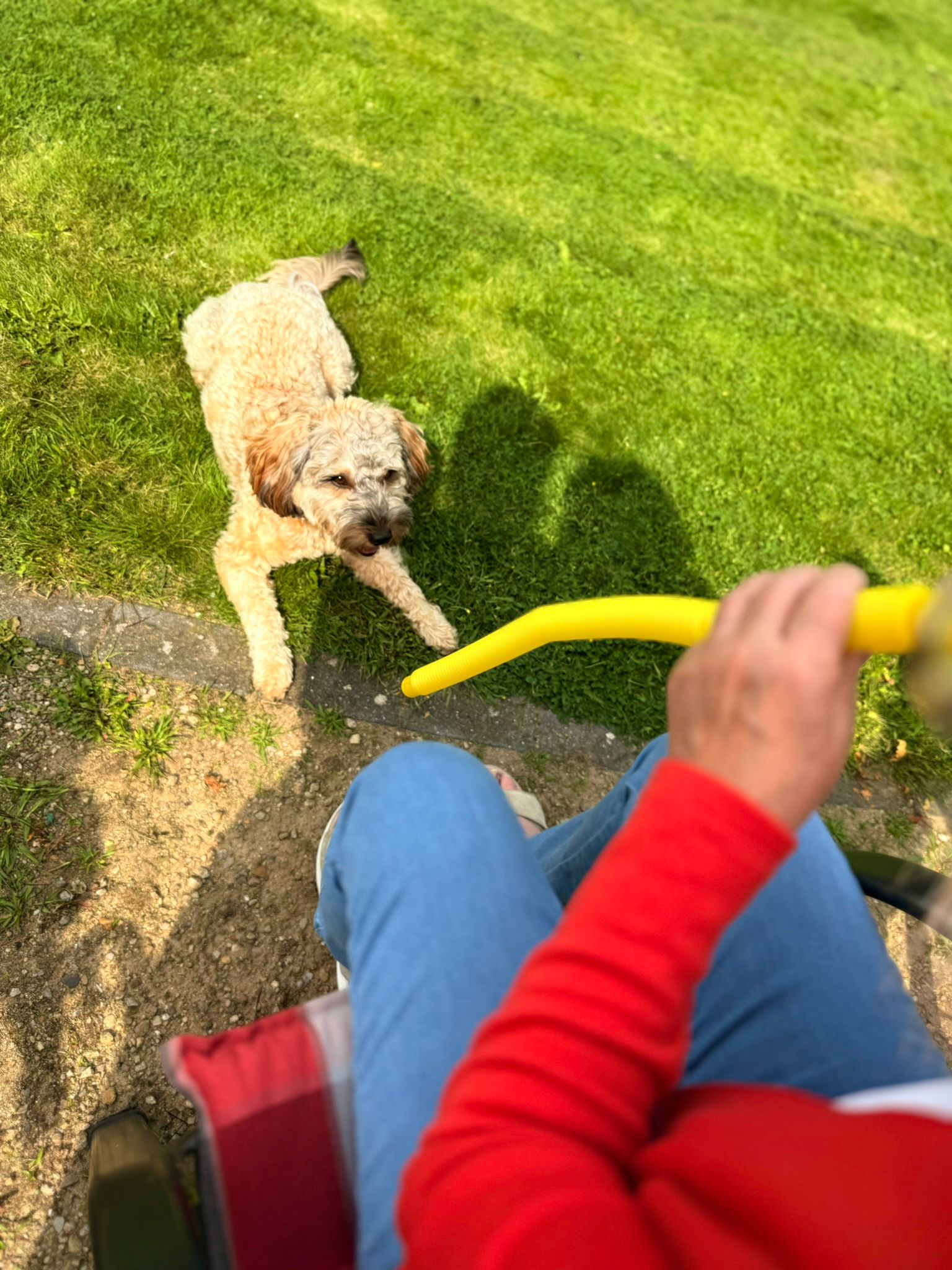 Zola – Bild 12