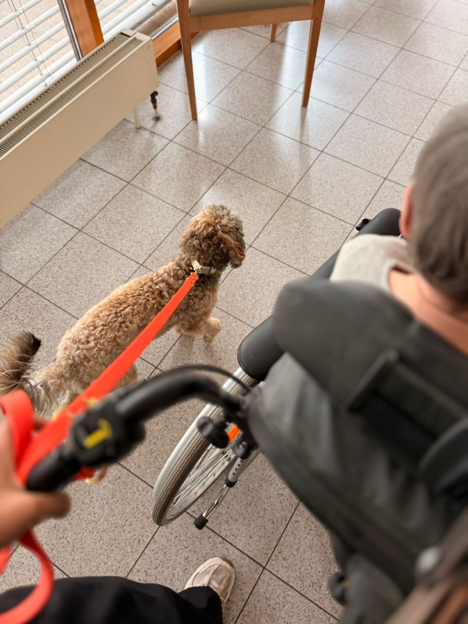 Zola – Bild 2