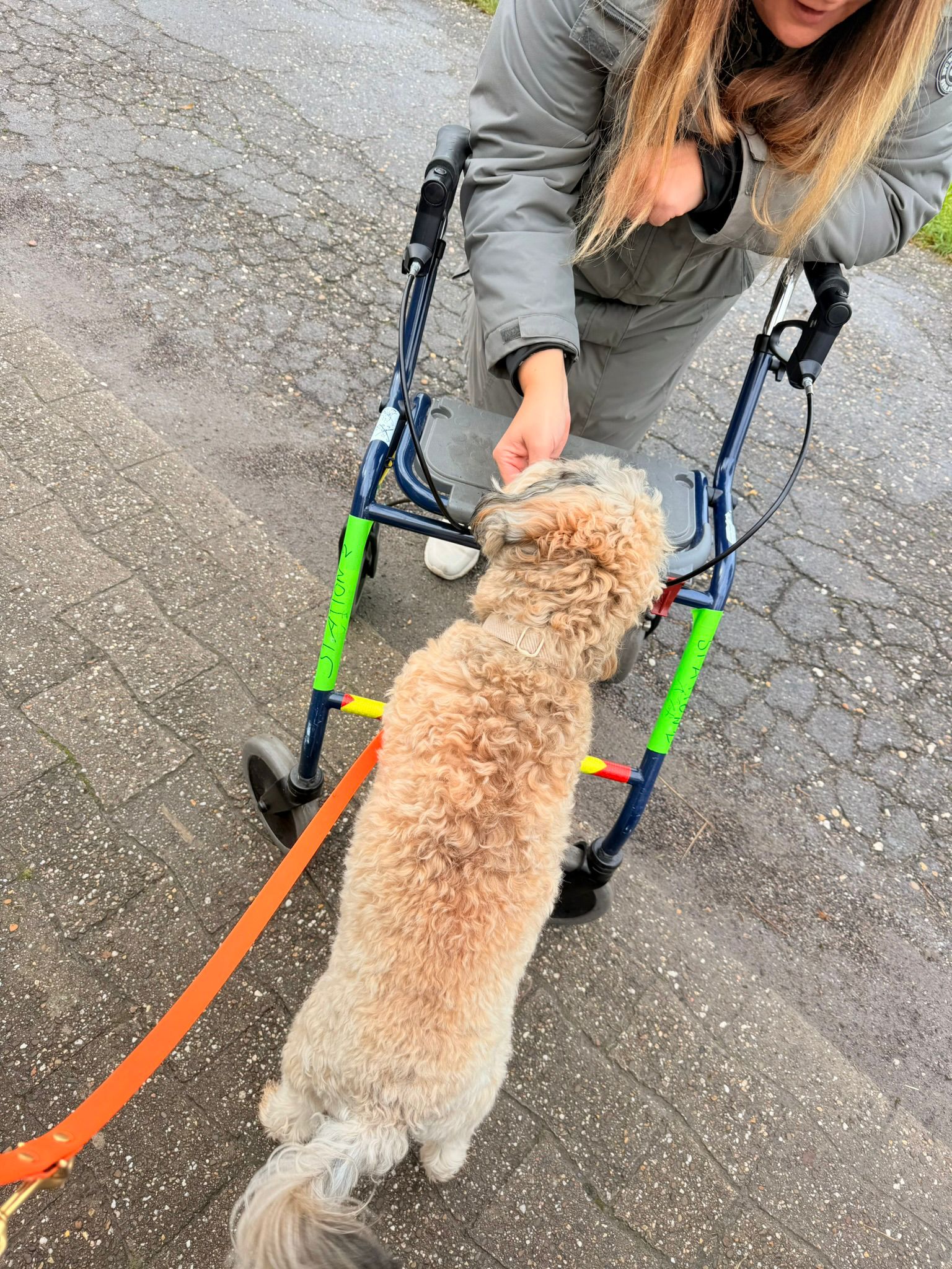Zola – Bild 6