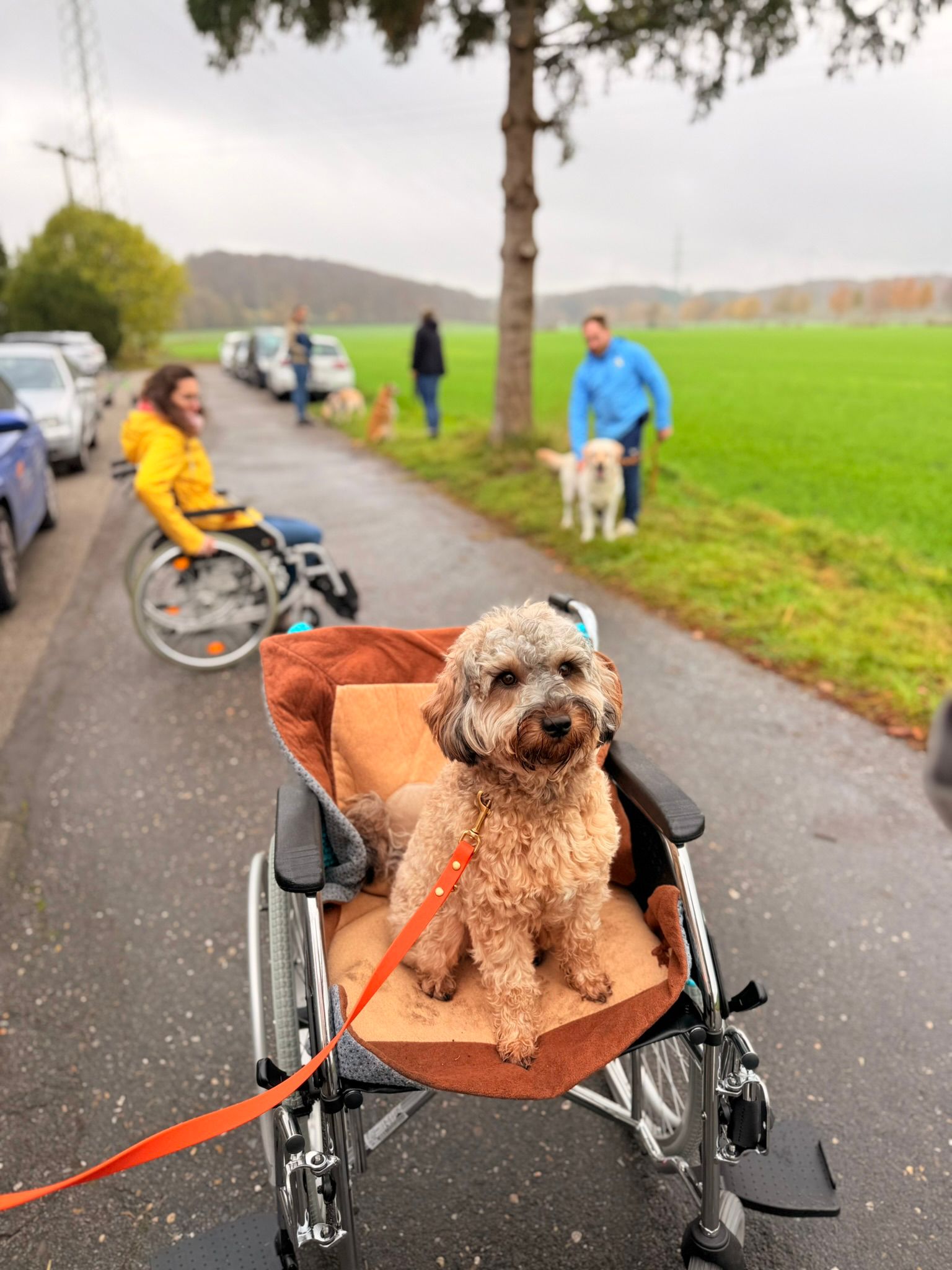 Zola – Bild 7