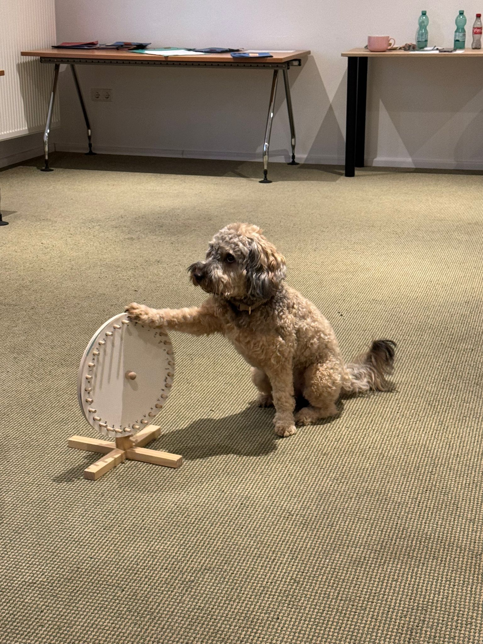 Zola – Bild 8